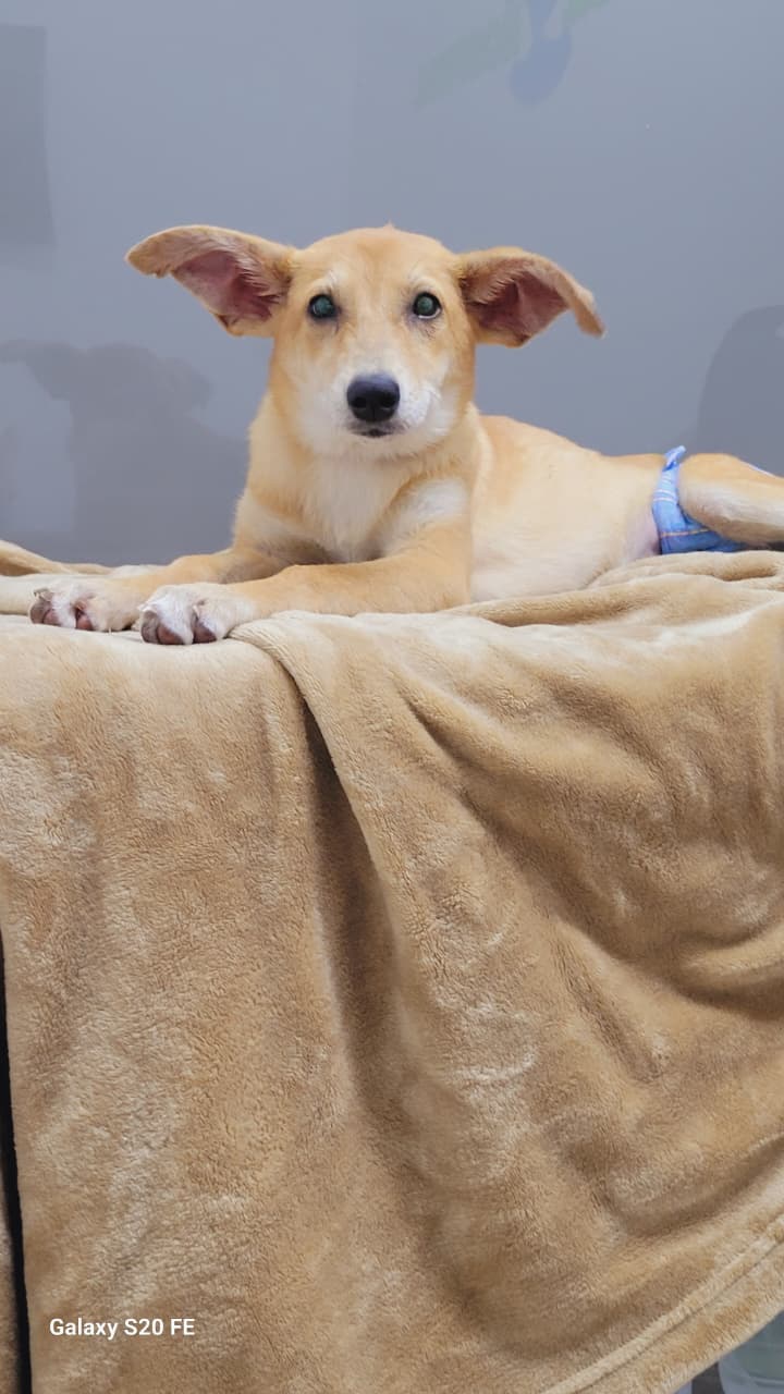 Frida hoy