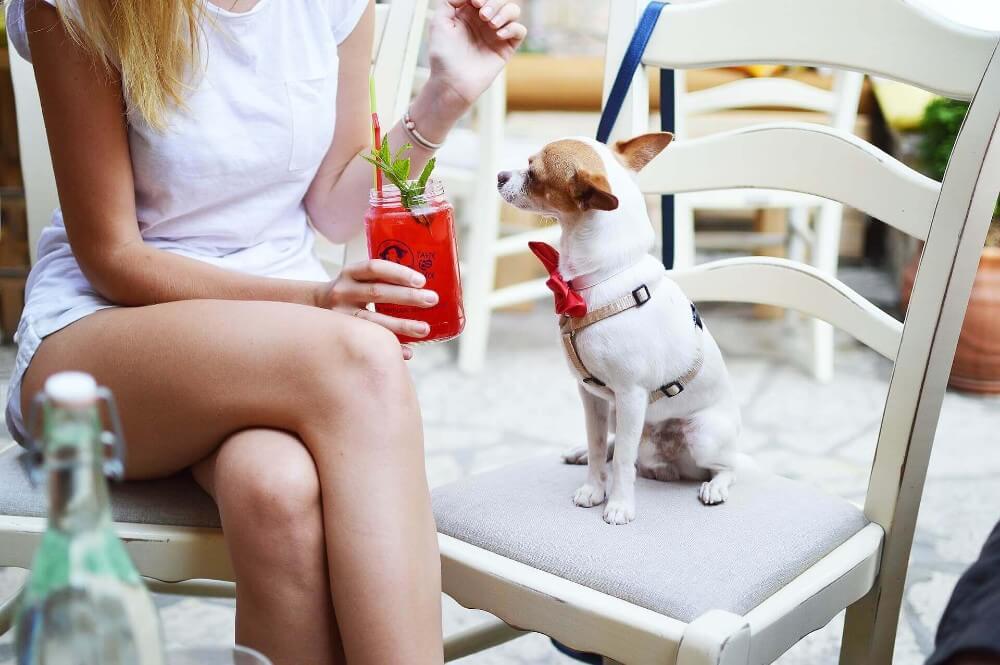 Mujer bebiendo una limonada con su perro